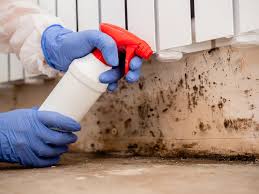 Why You Should Choose Our Mold Remediation Services in Crewe, VA